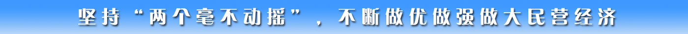 堅(jiān)持“兩個(gè)毫不動(dòng)搖”,，不斷做優(yōu)做強(qiáng)做大民營(yíng)經(jīng)濟(jì)